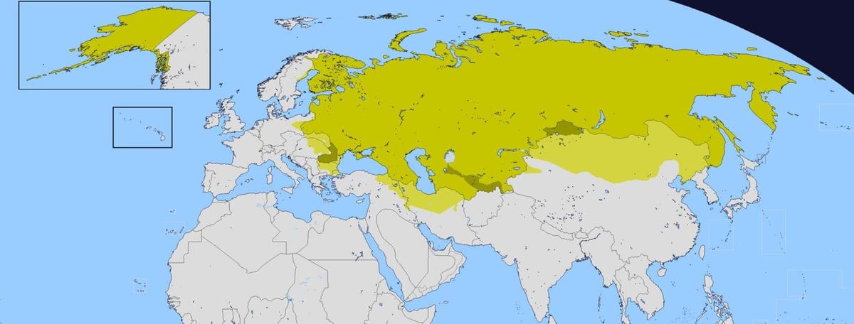 Karte des Russischen Reiches