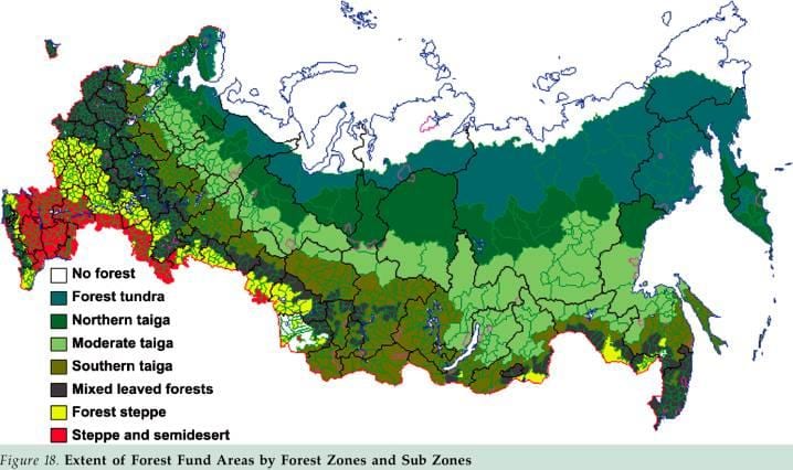 Russische Wald anzeigen