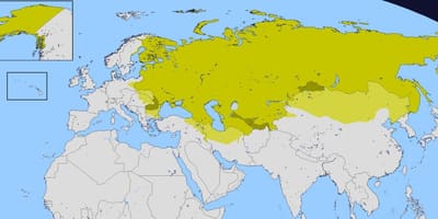 Karte des Russischen Reiches